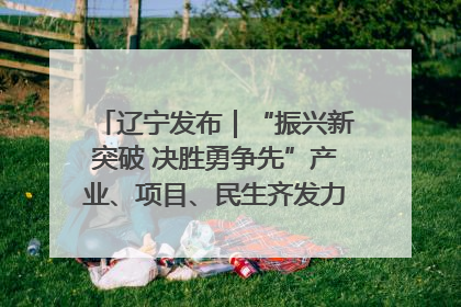 辽宁发布｜“振兴新突破 决胜勇争先”产业、项目、民生齐发力 葫芦岛按下决胜之年“加速键”
