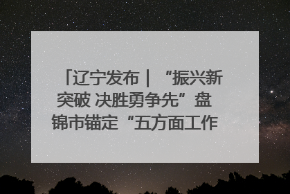 辽宁发布｜“振兴新突破 决胜勇争先”盘锦市锚定“五方面工作”力争全年地区生产总值增长5.5%左右