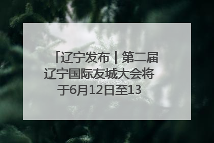 辽宁发布｜第二届辽宁国际友城大会将于6月12日至13日在沈阳举办