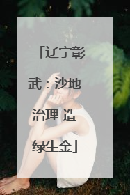 辽宁彰武：沙地治理 造绿生金