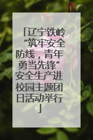 辽宁铁岭“筑牢安全防线，青年勇当先锋”安全生产进校园主题团日活动举行
