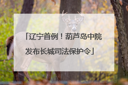 辽宁首例！葫芦岛中院发布长城司法保护令