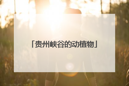 贵州峡谷的动植物