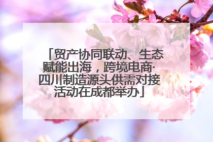 贸产协同联动、生态赋能出海，跨境电商·四川制造源头供需对接活动在成都举办