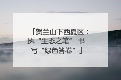 贺兰山下西夏区：执“生态之笔” 书写“绿色答卷”