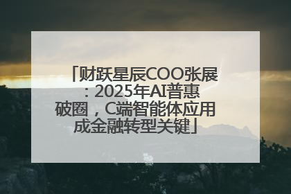 财跃星辰COO张展：2025年AI普惠破圈，C端智能体应用成金融转型关键