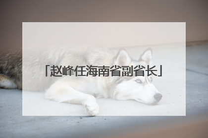 赵峰任海南省副省长