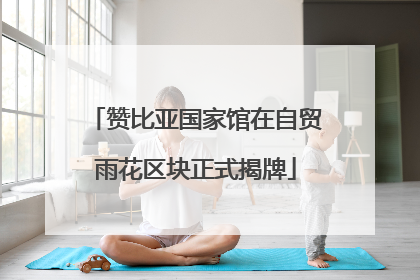 赞比亚国家馆在自贸雨花区块正式揭牌