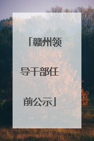 赣州领导干部任前公示