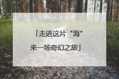 走进这片“海”来一场奇幻之旅