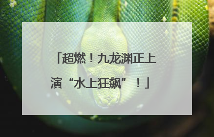 超燃！九龙渊正上演“水上狂飙”！