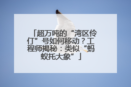 超万吨的“湾区伶仃”号如何移动？工程师揭秘：类似“蚂蚁托大象”