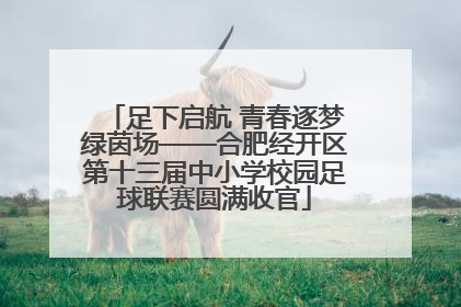 足下启航 青春逐梦绿茵场——合肥经开区第十三届中小学校园足球联赛圆满收官