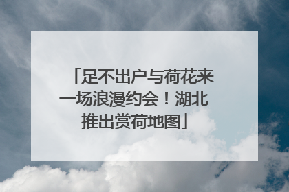 足不出户与荷花来一场浪漫约会！湖北推出赏荷地图