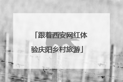 跟着西安网红体验庆阳乡村旅游