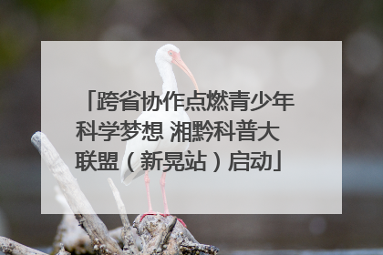 跨省协作点燃青少年科学梦想 湘黔科普大联盟（新晃站）启动