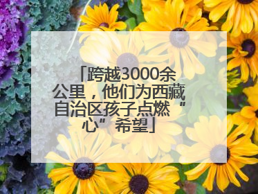 跨越3000余公里，他们为西藏自治区孩子点燃“心”希望