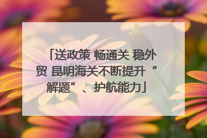 送政策 畅通关 稳外贸 昆明海关不断提升“解题”、护航能力