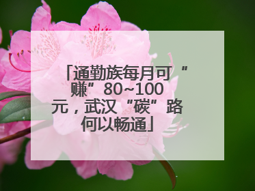 通勤族每月可“赚”80~100元，武汉“碳”路何以畅通