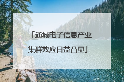 通城电子信息产业集群效应日益凸显