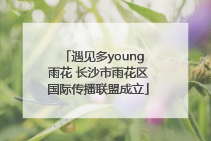 遇见多young雨花 长沙市雨花区国际传播联盟成立