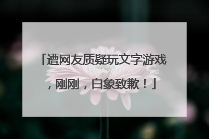 遭网友质疑玩文字游戏，刚刚，白象致歉！