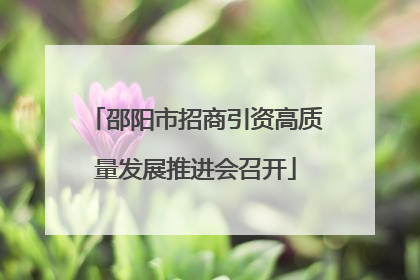 邵阳市招商引资高质量发展推进会召开