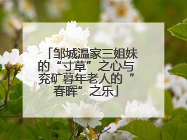 邹城温家三姐妹的“寸草”之心与兖矿暮年老人的“春晖”之乐
