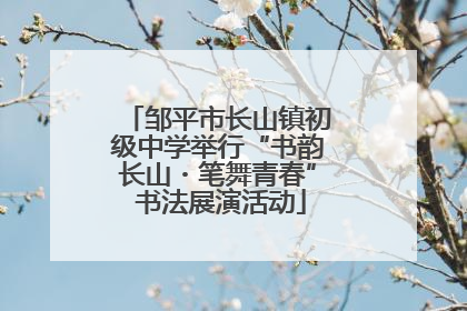 邹平市长山镇初级中学举行“书韵长山・笔舞青春” 书法展演活动