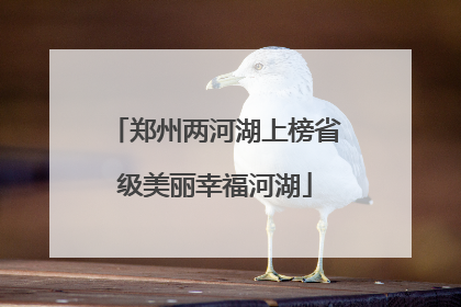 郑州两河湖上榜省级美丽幸福河湖