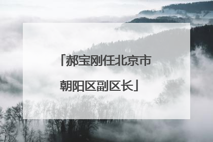 郝宝刚任北京市朝阳区副区长