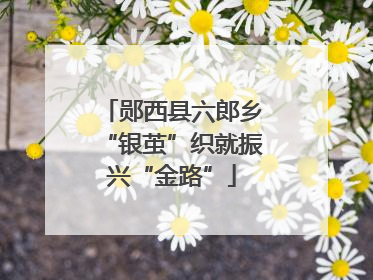 郧西县六郎乡“银茧”织就振兴“金路”