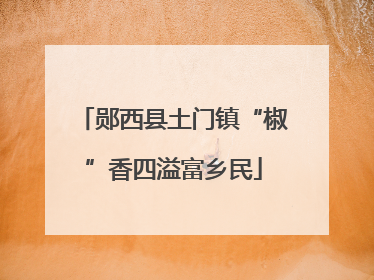 郧西县土门镇“椒”香四溢富乡民
