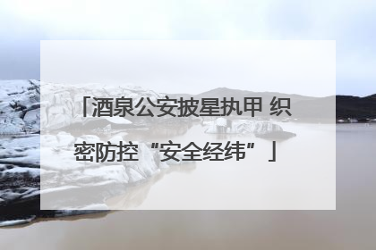 酒泉公安披星执甲 织密防控“安全经纬”