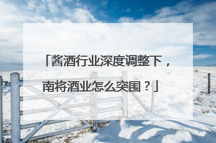 酱酒行业深度调整下，南将酒业怎么突围？
