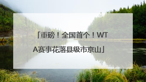 重磅！全国首个！WTA赛事花落县级市京山