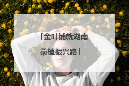 金叶铺就湖南桑植振兴路