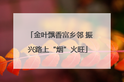 金叶飘香富乡邻 振兴路上“烟”火旺
