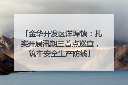 金华开发区洋埠镇：扎实开展汛期三普点巡查，筑牢安全生产防线