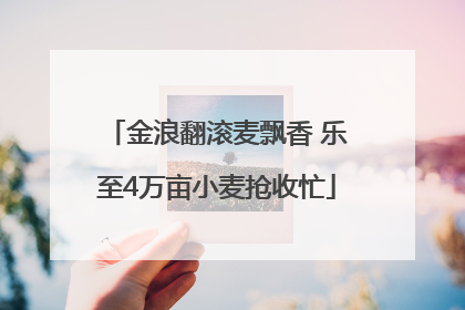 金浪翻滚麦飘香 乐至4万亩小麦抢收忙