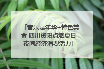 音乐嘉年华+特色美食 四川资阳点燃夏日夜间经济消费活力