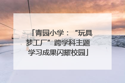 青园小学：“玩具梦工厂”跨学科主题学习成果闪耀校园