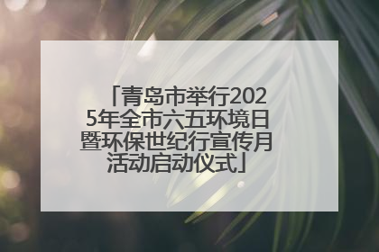 青岛市举行2025年全市六五环境日暨环保世纪行宣传月活动启动仪式