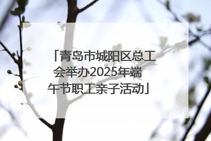 青岛市城阳区总工会举办2025年端午节职工亲子活动