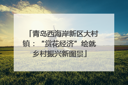 青岛西海岸新区大村镇：“赏花经济”绘就乡村振兴新图景