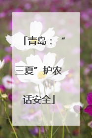 青岛：“三夏”护农话安全