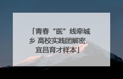 青春“医”线牵城乡 高校实践团解密宜昌育才样本
