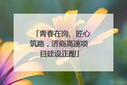 青春在岗、匠心筑路，济商高速项目建设正酣