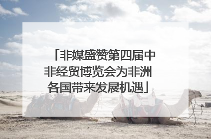 非媒盛赞第四届中非经贸博览会为非洲各国带来发展机遇