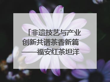 非遗技艺与产业创新共谱茶香新篇——福安红茶坦洋工夫专场推介会在京举办